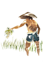 割水稻的老人图片下载