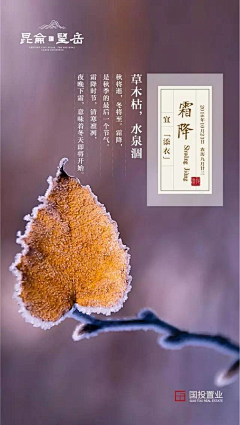 超级灰灰采集到节气海报