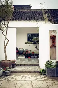 【最美·家园】庭院