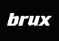 BRUX : разработка логотипафирменный стилькраткое руководство