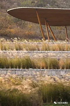 50个创意景观“构筑物”，设计干货（上） : 广州艺匠建设发展有限公司主要经营园林景观绿化，景观设计方案，施工，效果图，项目招投标，工程预结算，工程监理，苗木销售，室内外植物租摆，植物养护管理，技术咨询指导等，诚邀客户合作，联式方式：微信gzwwj2006。