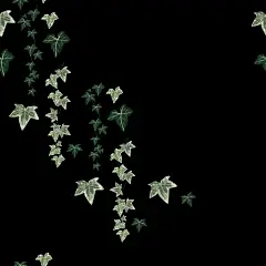 波西米亚春夏秋冬人物水果植物花卉叶子插画装饰免抠PNG图案素材 (4)