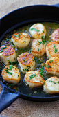 Garlic Scallops – fresh, succulent scallops sauteed with garlic, butter, white wine and parsley. Easy recipe that takes only 15 mins! | rasamalaysia.com: 