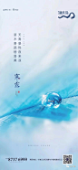 寒露