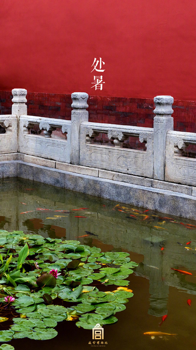 风清而含芳，水碧而探凉。转发这一池锦鲤，...