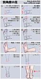 手和脚的画法教程
