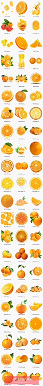 手绘新鲜夏季水果橙子柑橘橘子橙汁鲜榨果汁脐橙半切面水果N027