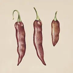 https://www.macv.com/pic/706134.html