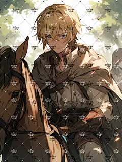 版权二次元男33