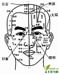 按揉穴位除头昏