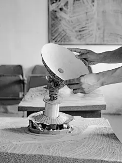 陈川端：交融水母群的位面-埃弗雷特笔记 - 小红书