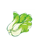 白菜