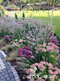 Fabulous mix of ornamental grasses and other perennials.: