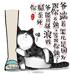 浣红尘采集到那猫&那咪