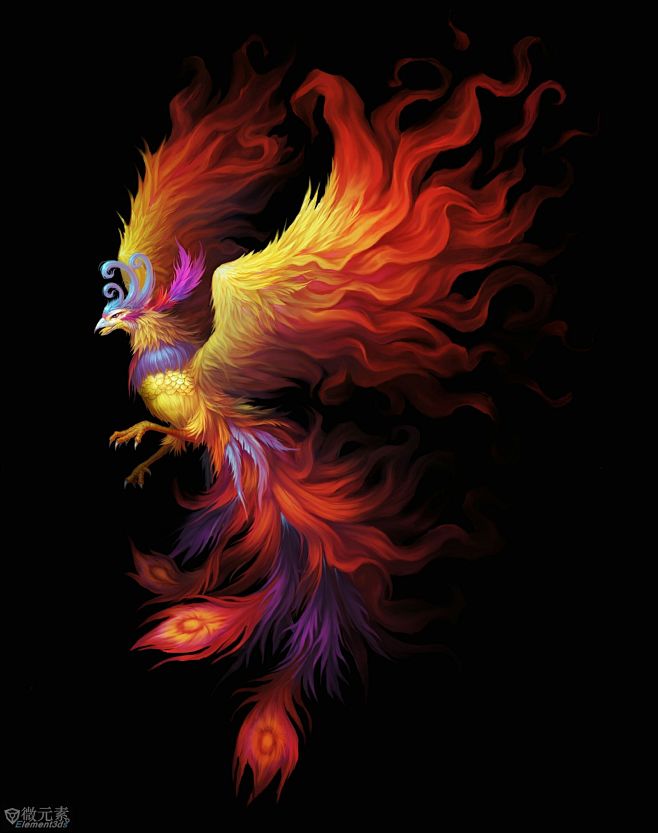 火凤凰朱雀凤凰