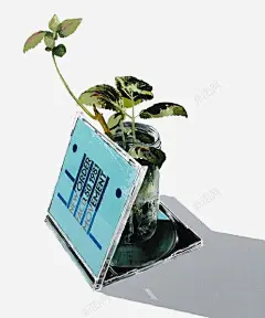 水彩树叶 设计图片 免费下载 页面网页 平面电商 创意素材