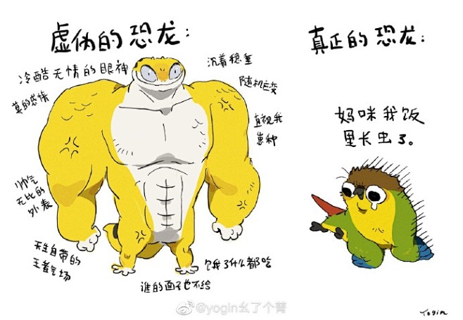 #神烦鸟 底迪酱##守宫桂圆#