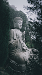 teddy-wijaya-r3PEdo0YVUA-unsplash