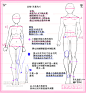 男女人体上的画法差异-蓝铅笔-约课学画画，就是快！