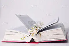 书,桌子,厚的,开着的,美,水平画幅,无人,俄罗斯,花束,学校