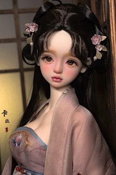 A0QxMi8D采集到Bjd