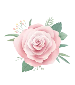 春夏天手绘鲜花花卉玫瑰免抠__PNG：