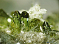 epidote cluster | MINERALS