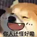 狗狗表情包