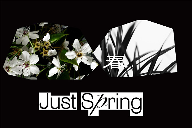 春在Just Spring：化妆品品牌与...