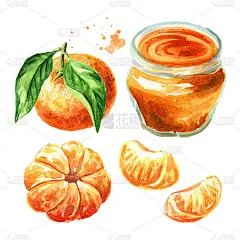 玻璃罐的橘子或柑橘果酱与新鲜多汁的水果。手绘水彩插图孤立的白色背景