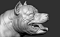 Dog American Bully, Dmitrii Prosov : sculpt