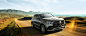 AMG GLE 53 4MATIC+