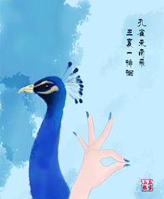烟火繁落采集到孔雀