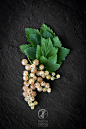 Groseilles blanches – White currants