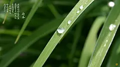 24节气之一雨水高清壁纸桌面壁纸2