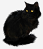 万圣节黑猫png免抠素材_新图网 https://ixintu.com 万圣节 黑猫 黄色眼睛 不吉利