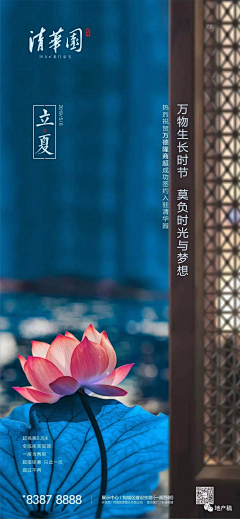 包包头来啦采集到节令图