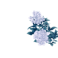 Miyinsisi采集到花