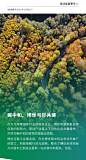 来自分享