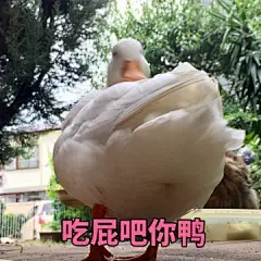 首页 - 知乎