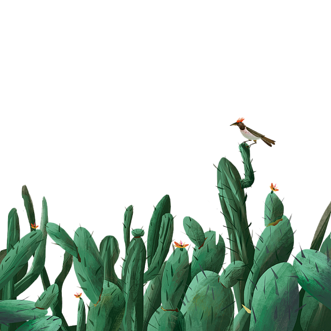 手绘仙人掌 #鸟 绘本风格 插画 植物 ...