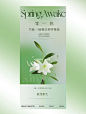 绿色美业活动海报｜清新五一春夏海报设计 - 小红书