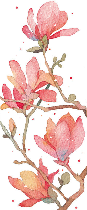 +四季+-cause勃勃_水彩,植物,花...