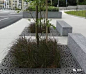 70款 · 精美的树池篦子 : 　　树池篦子俗名又叫做护树板，树池盖板，树围子，树池篦子等等，因各地方言而叫法不一。主要用于园林绿化、市政建设。 　　 　　树池盖板虽小，却是高品质景观的一个重要体现。尤其在城市公共空间景观设计中，一款