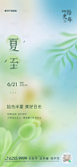 夏至海报-源文件