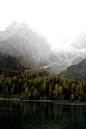 (99+) Tumblr