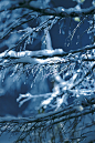 雪景6