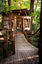 Secluded Intown Treehouse (8)
