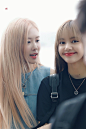 BLACKPINK LISA朴彩英ROSÉ