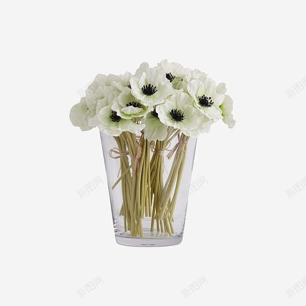欧美流行插花绿植物鲜花软装高清素材 大气...